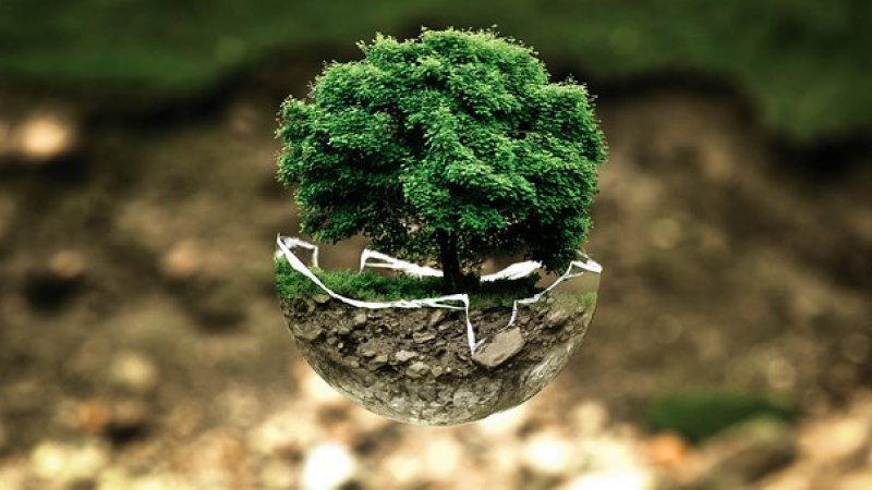 Efemérides: 5/6 Día Mundial del Medio Ambiente